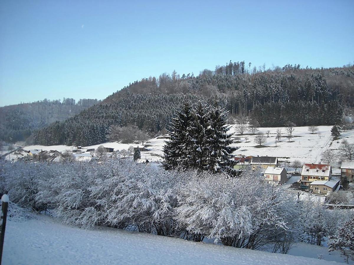 Cosy Holiday Home With Garden In Walscheid Luaran gambar